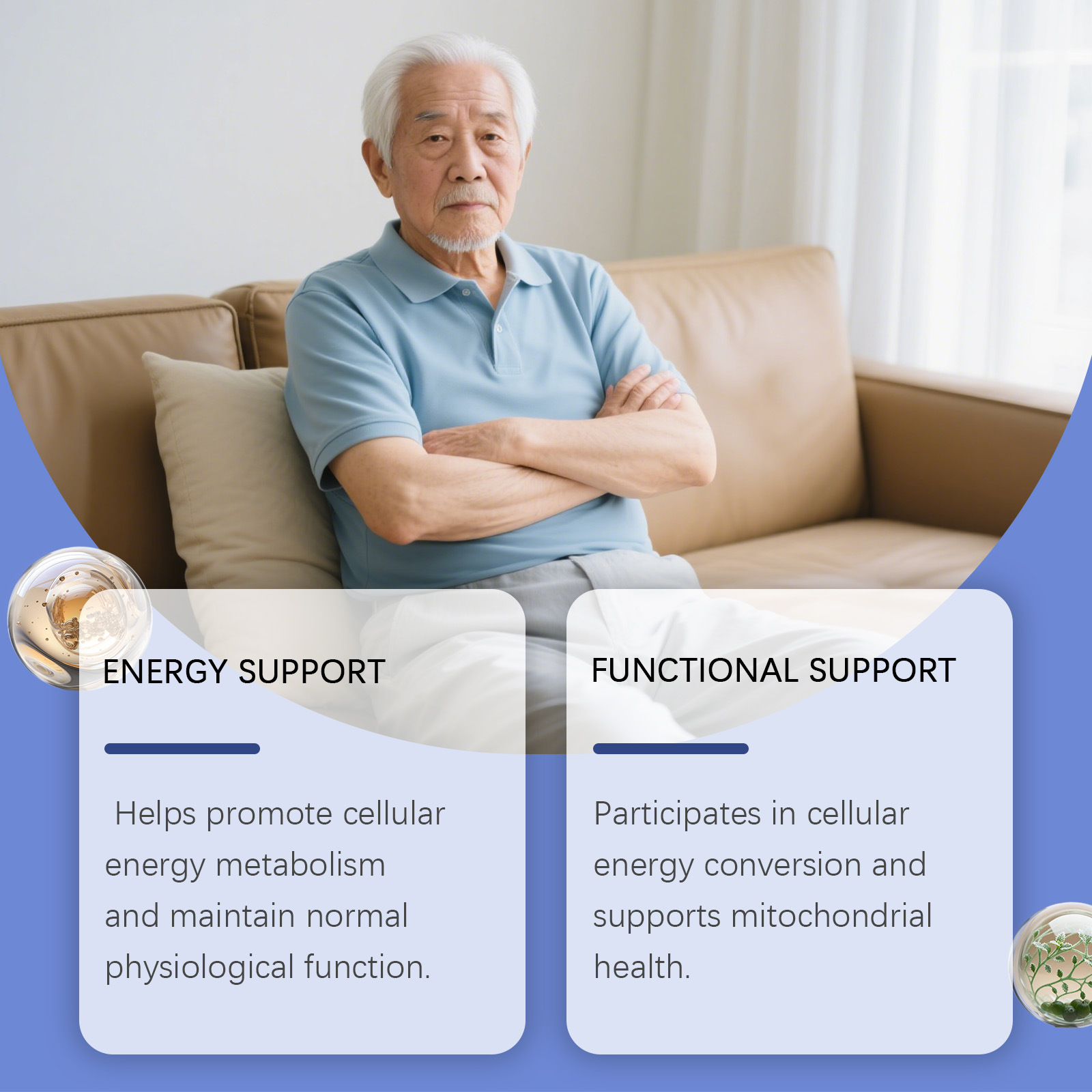 活力増強ドロップスは、代謝を促進し、注意力を高め、体力を強化 - Nutrition Fitness Health のレビューと価格